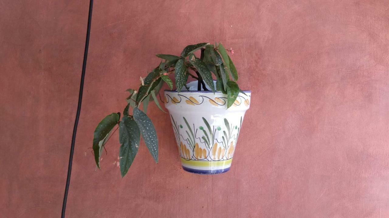 La Toscana Murcia Eksteriør bilde